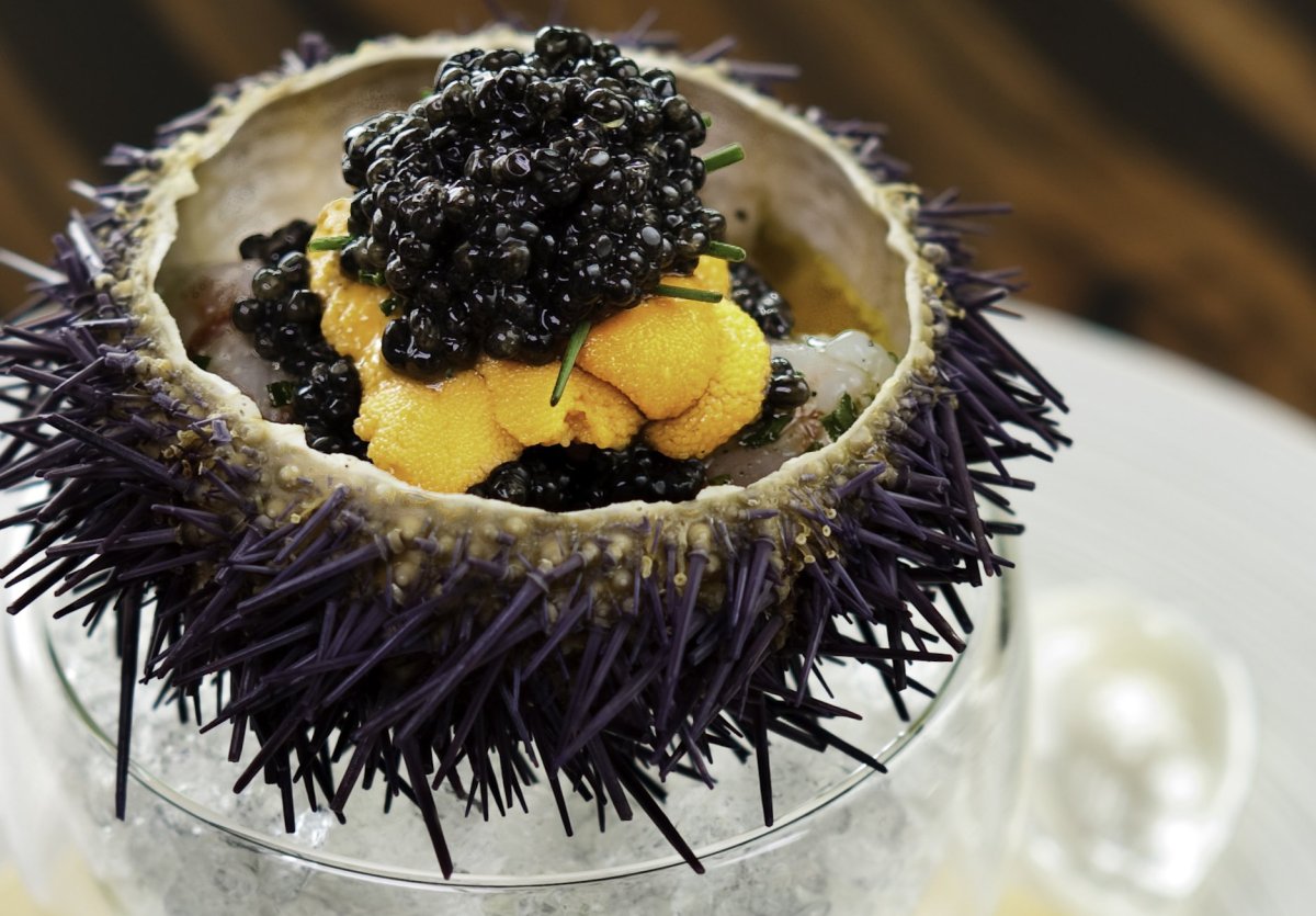 Морской еж деликатес