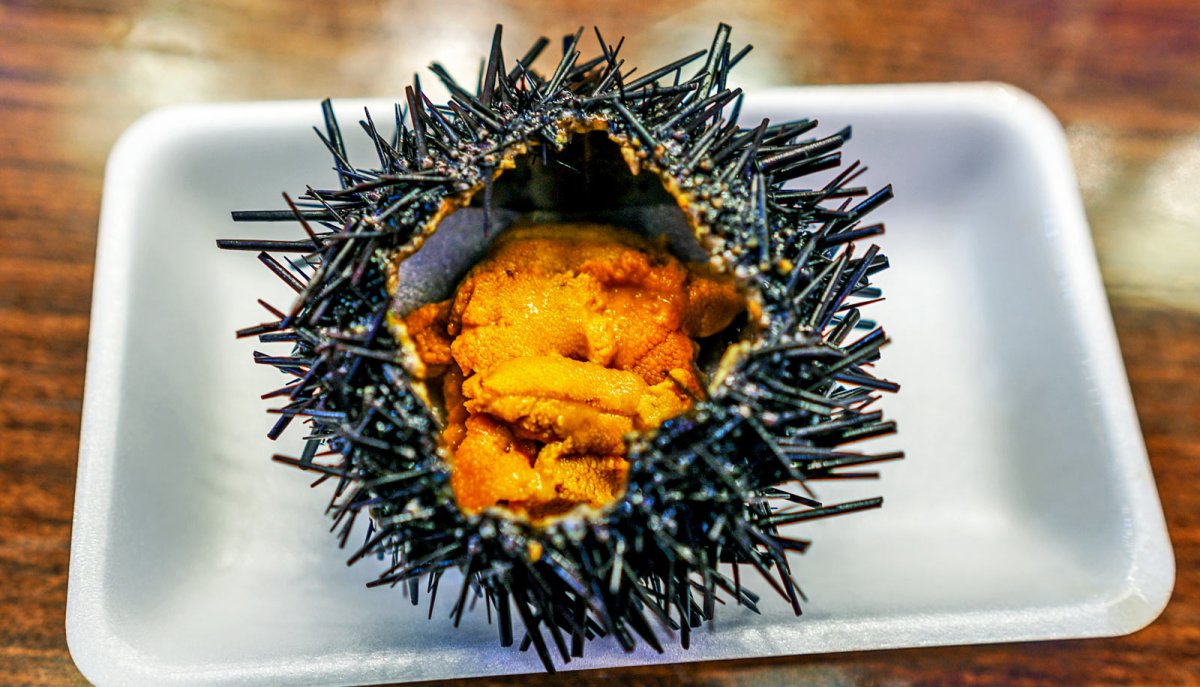 Уни морской еж