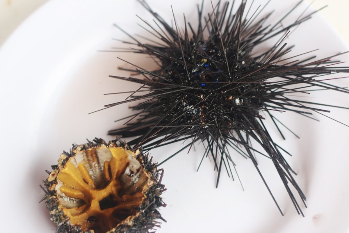 Десерт морской еж Tokio
