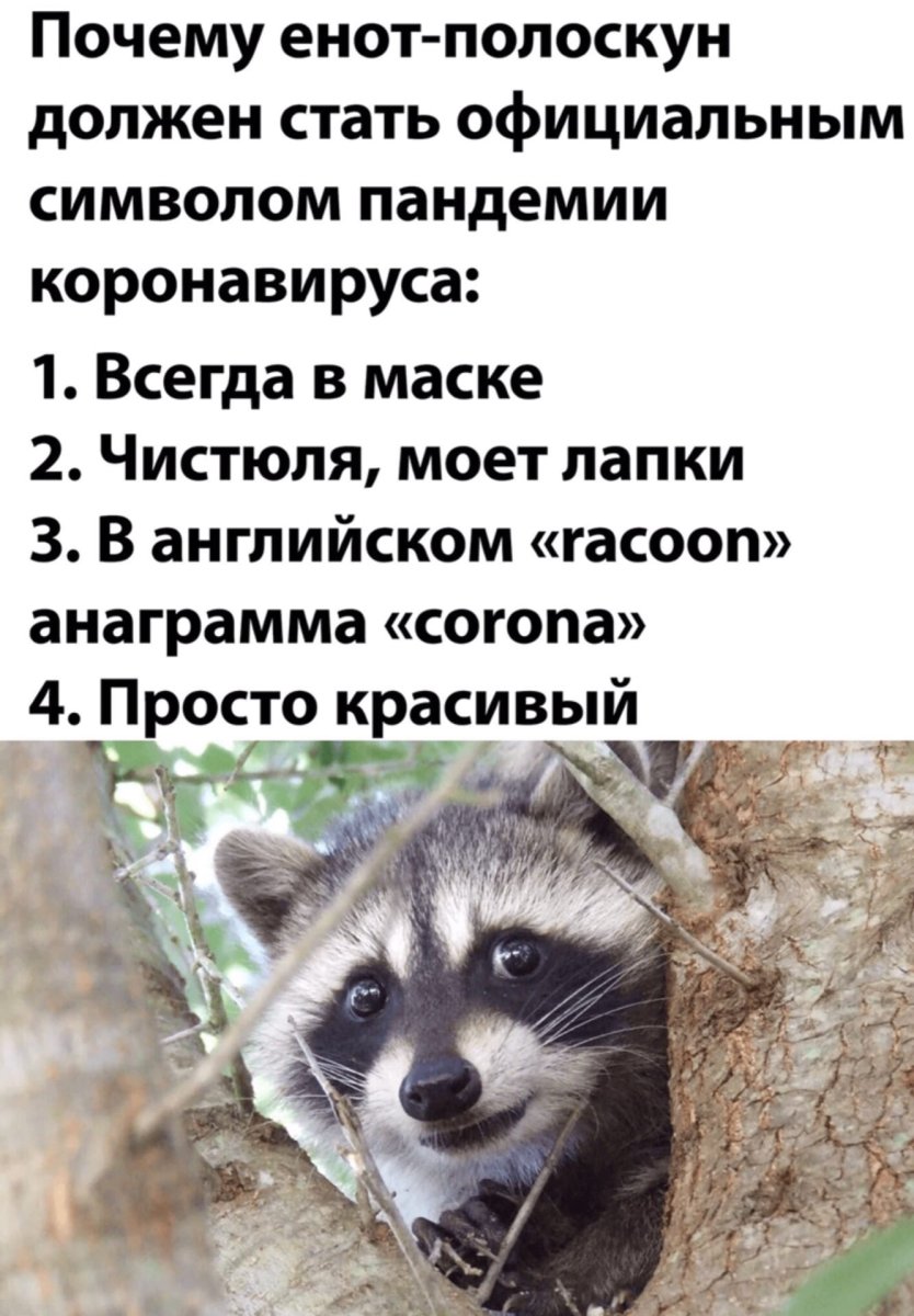 Комиксы про проблемы