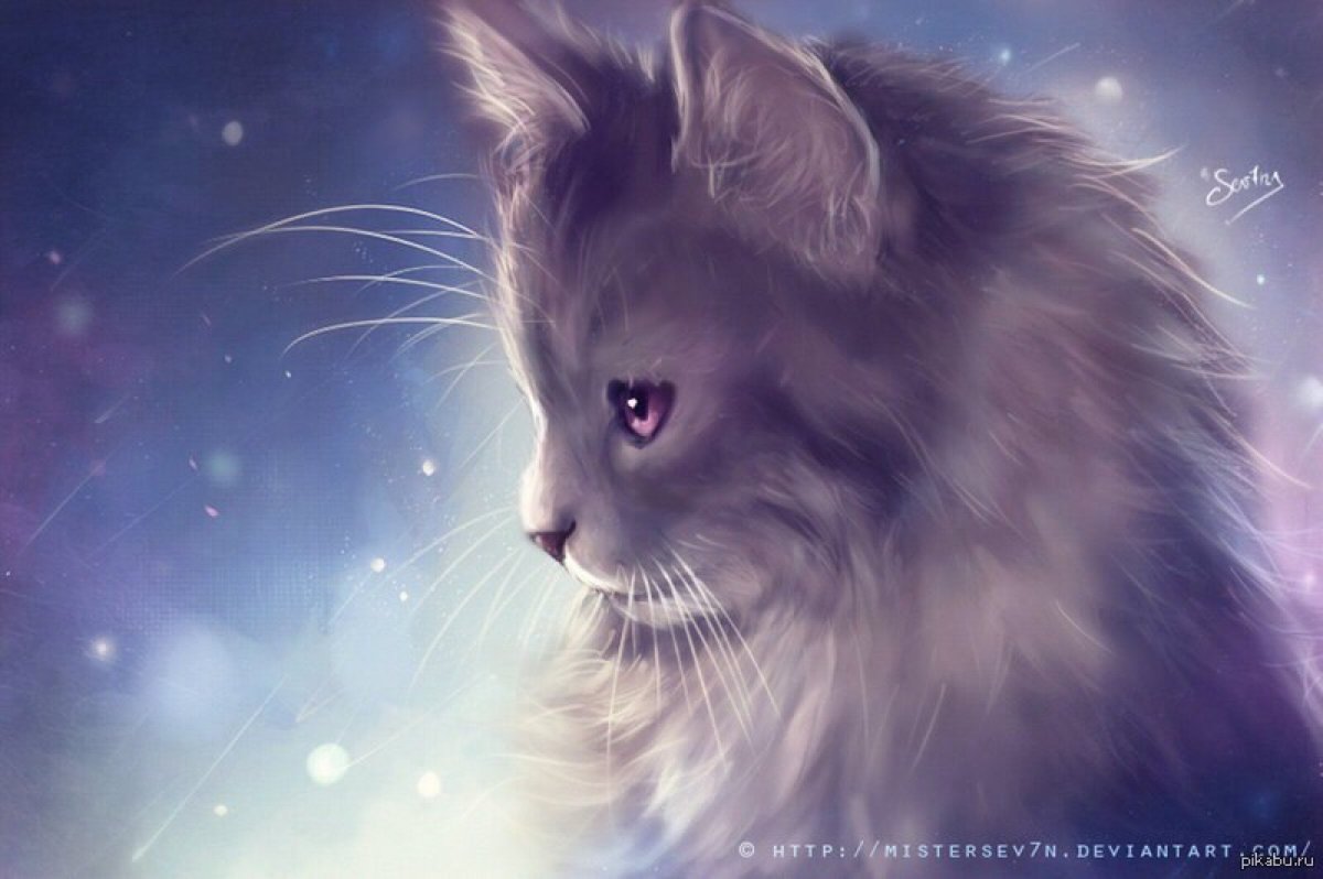 Кошка с фиолетовыми глазами