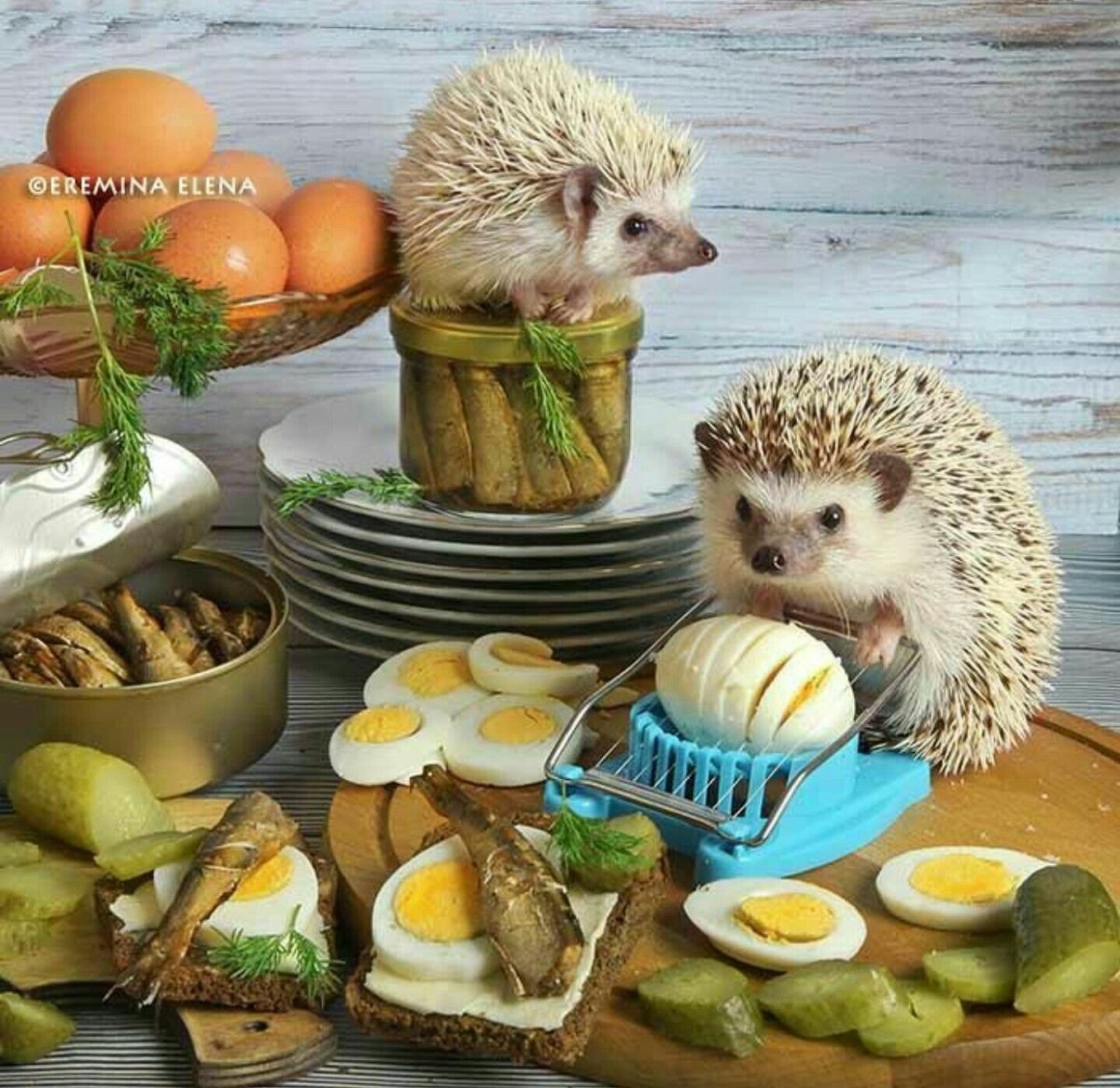 Милые ежики Елена Еремина