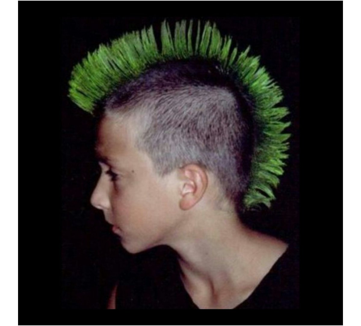 Салатовый ирокез