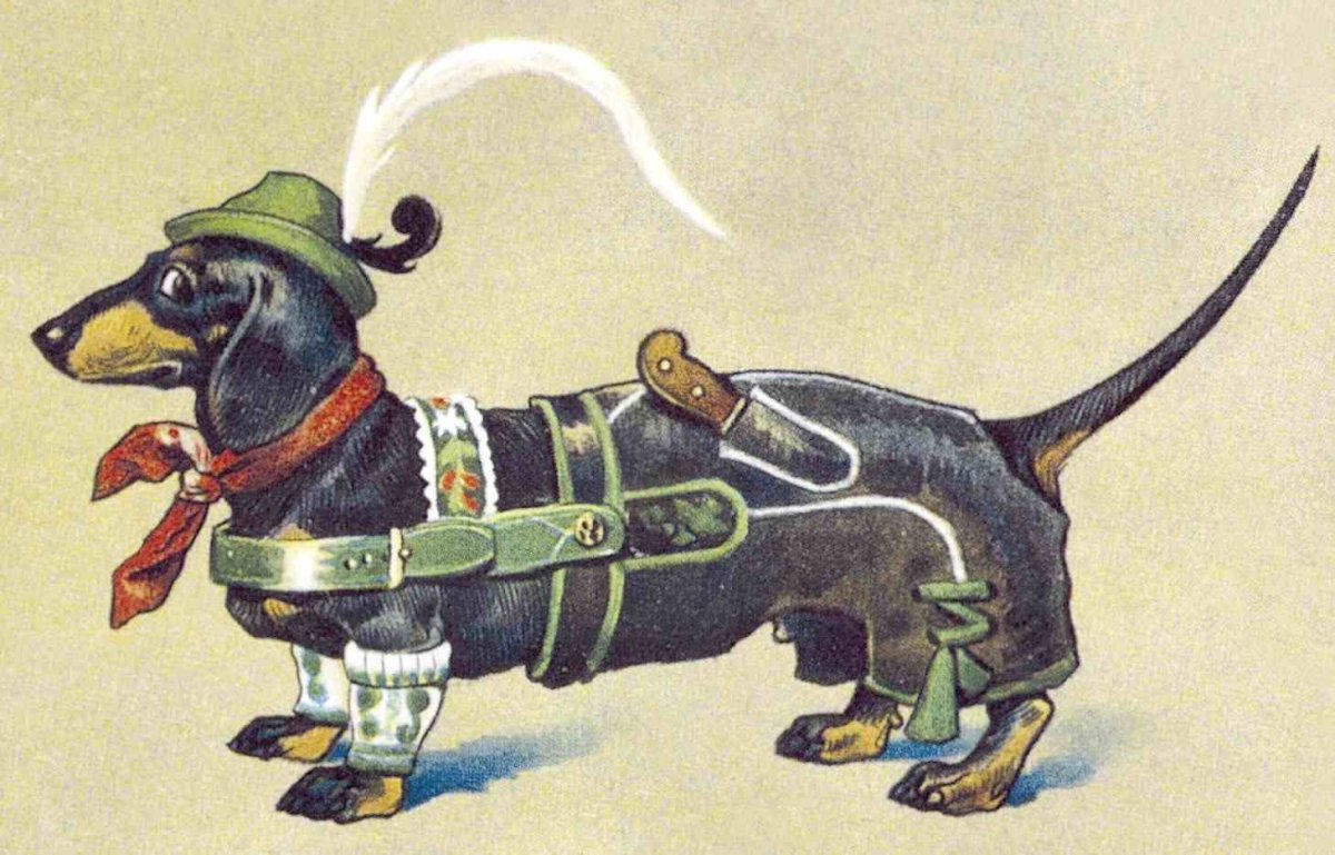 Такса Дакель