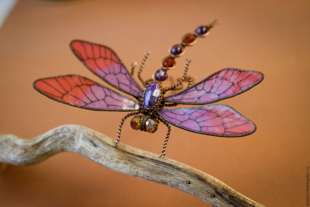 Стрекоза Dragonfly