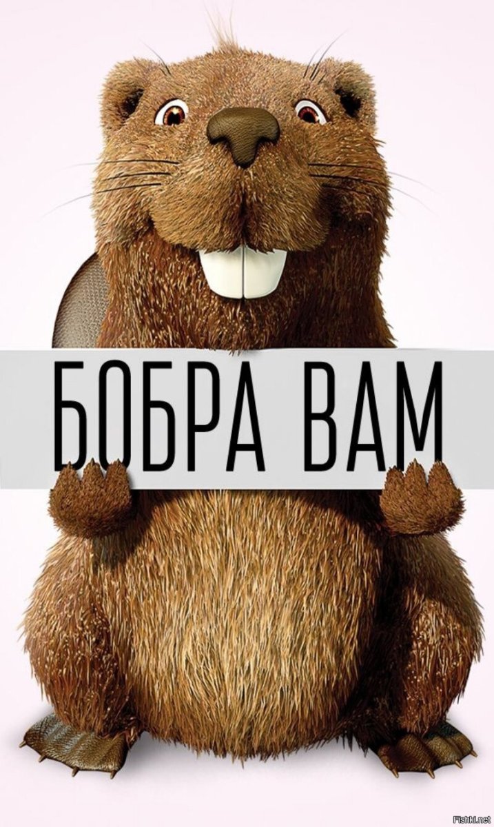 Смешные Бобы