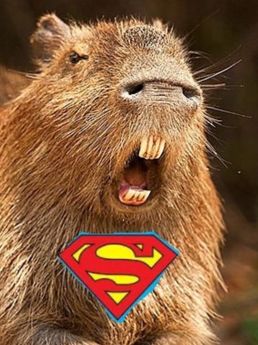 Капибара зубы