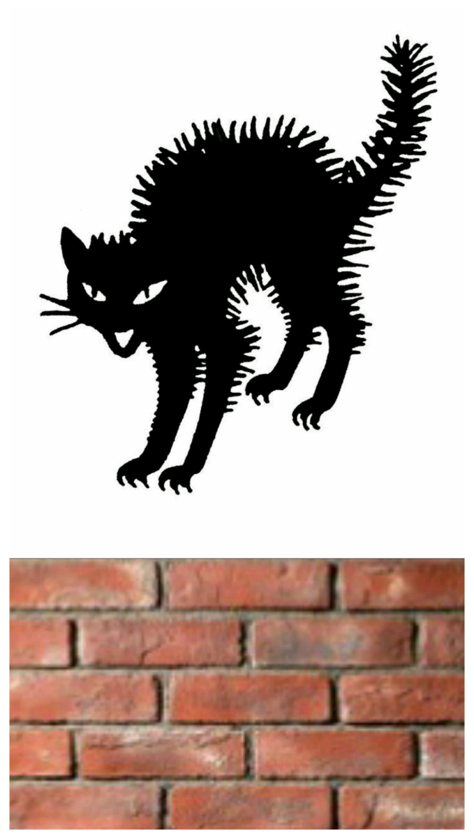 Черный кот шерсть дыбом