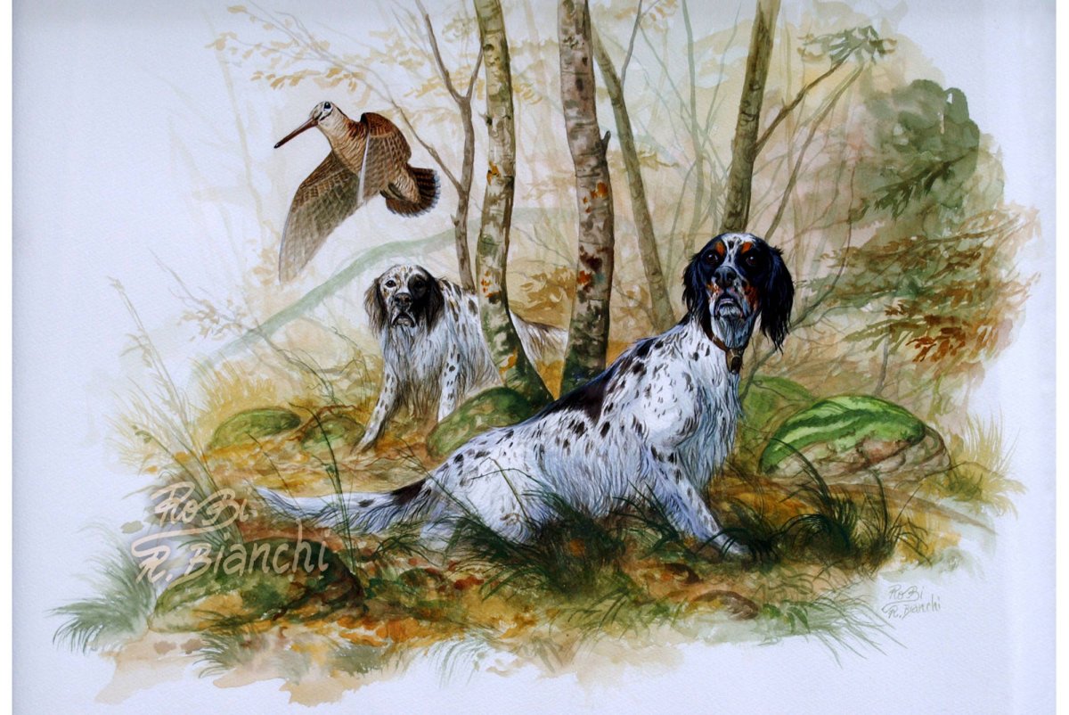 Художник Roberto Bianchi