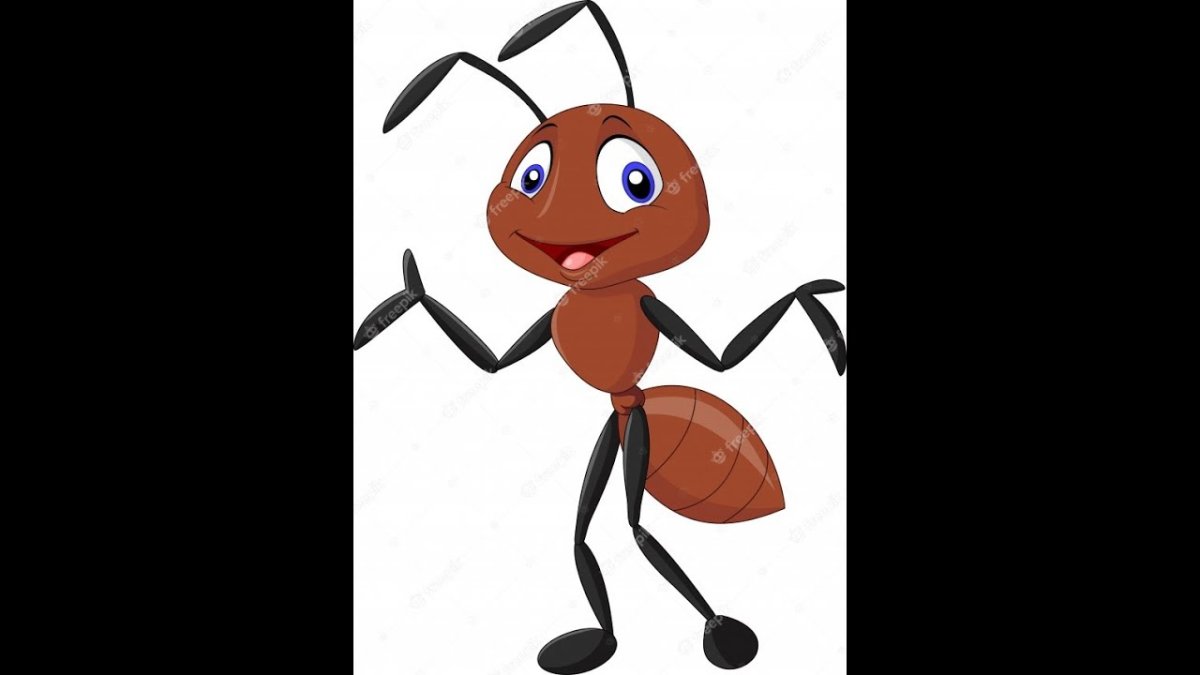 Бешеные муравьи Рэсберри