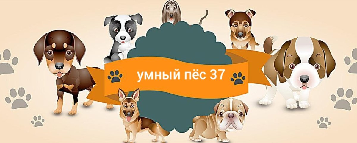 Две смешные собаки