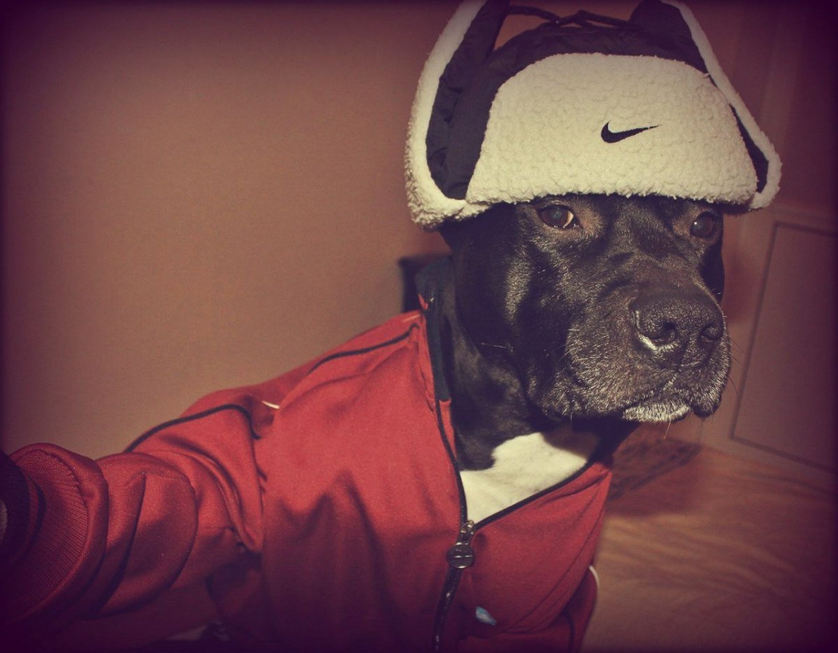 Смешные картиночки