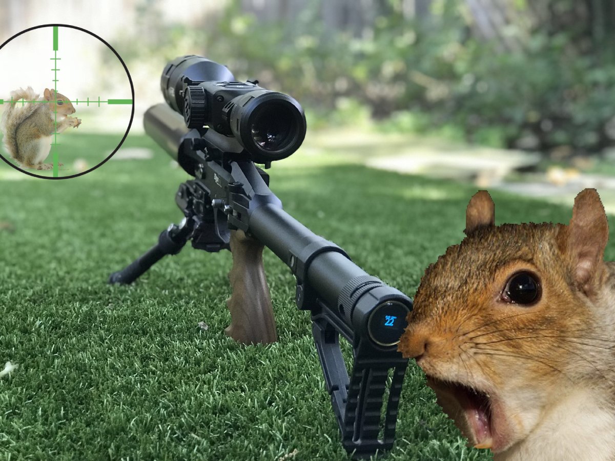 Фотоохота на животных