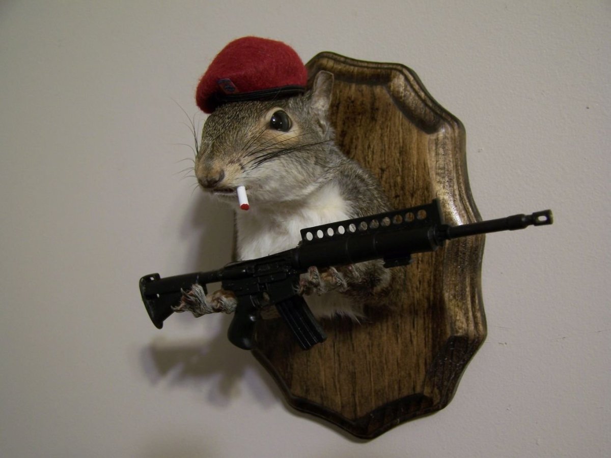 Крыса с автоматом