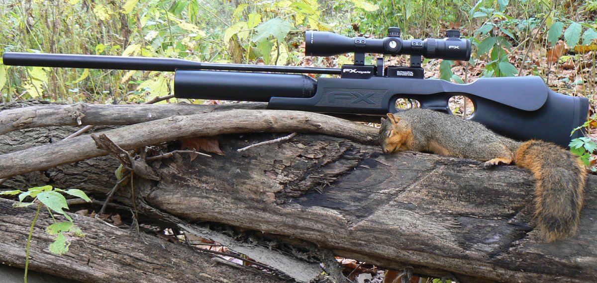 Охота на белку с пневматикой