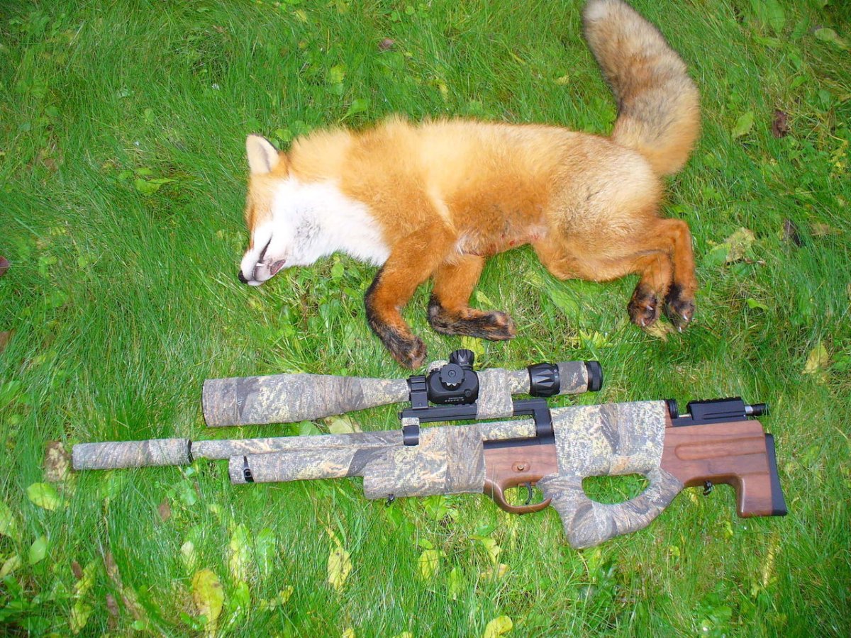 Белка с оружием