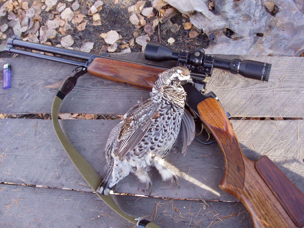 Белка на тележке