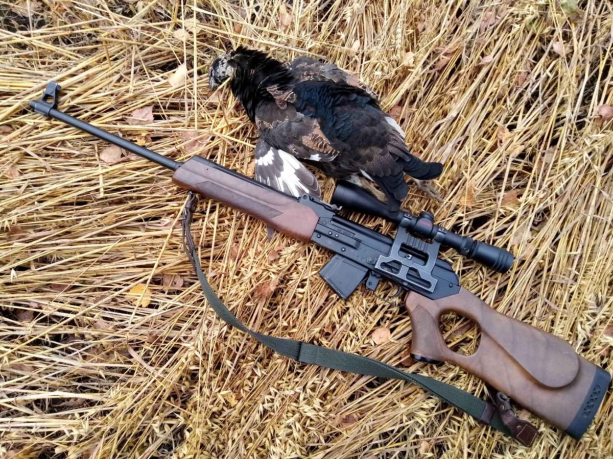 Сумасшедшая Белочка