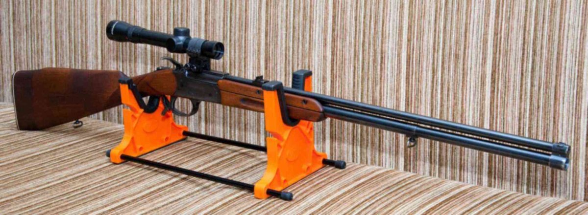 Любопытная белка