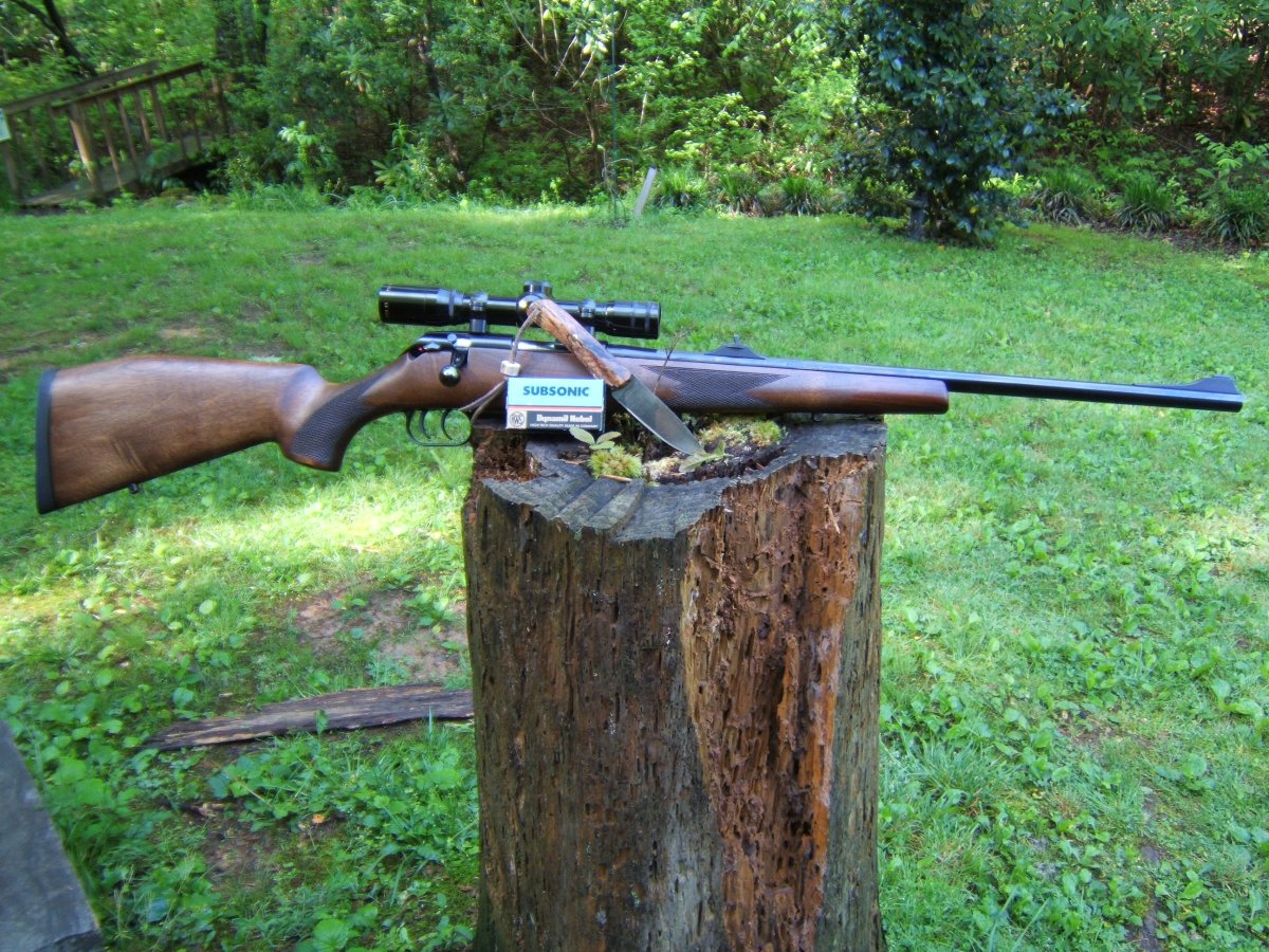 Вадим Трунов белки и птицы