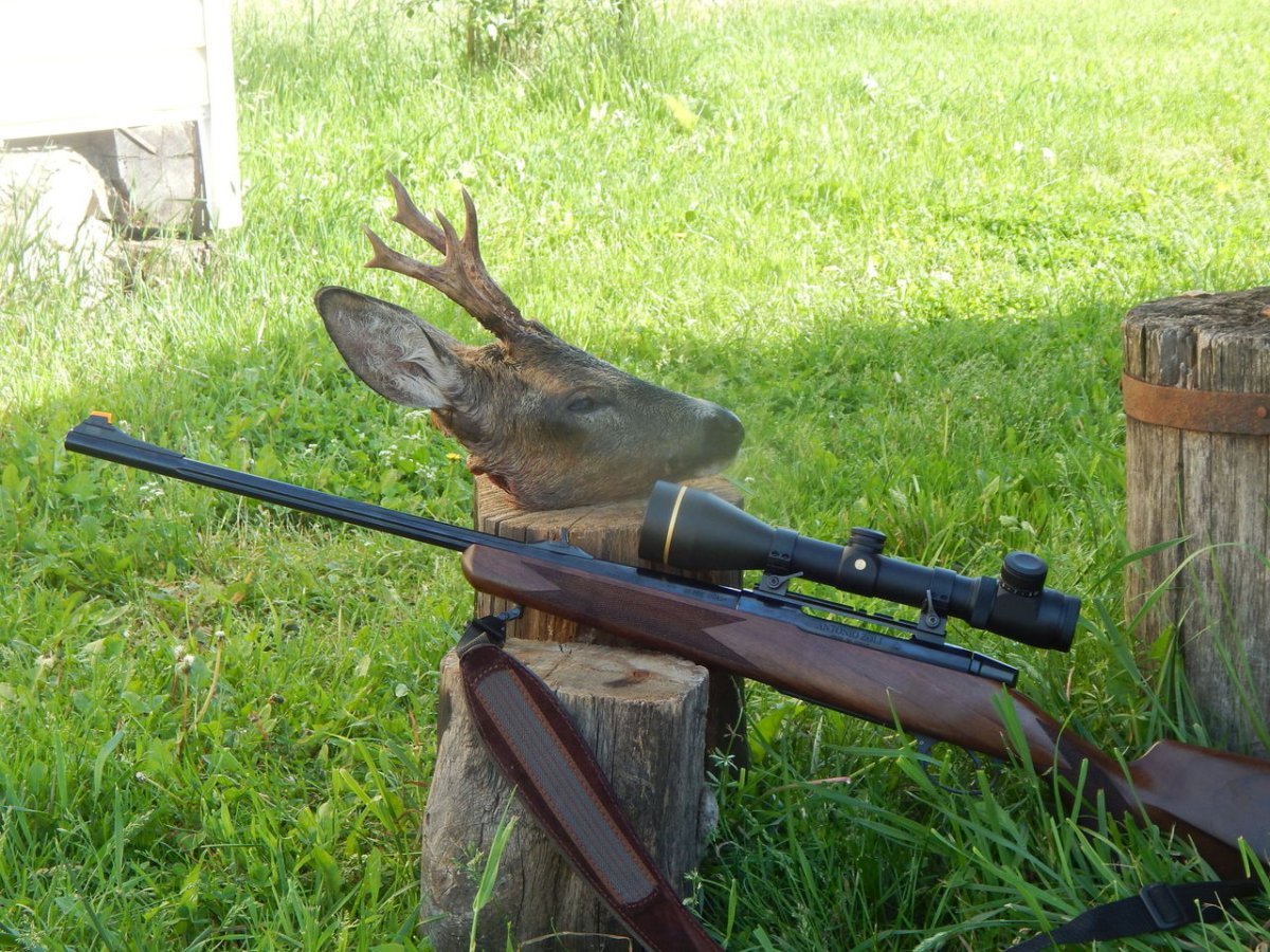 Охота на глухаря с нарезным 7.62 39