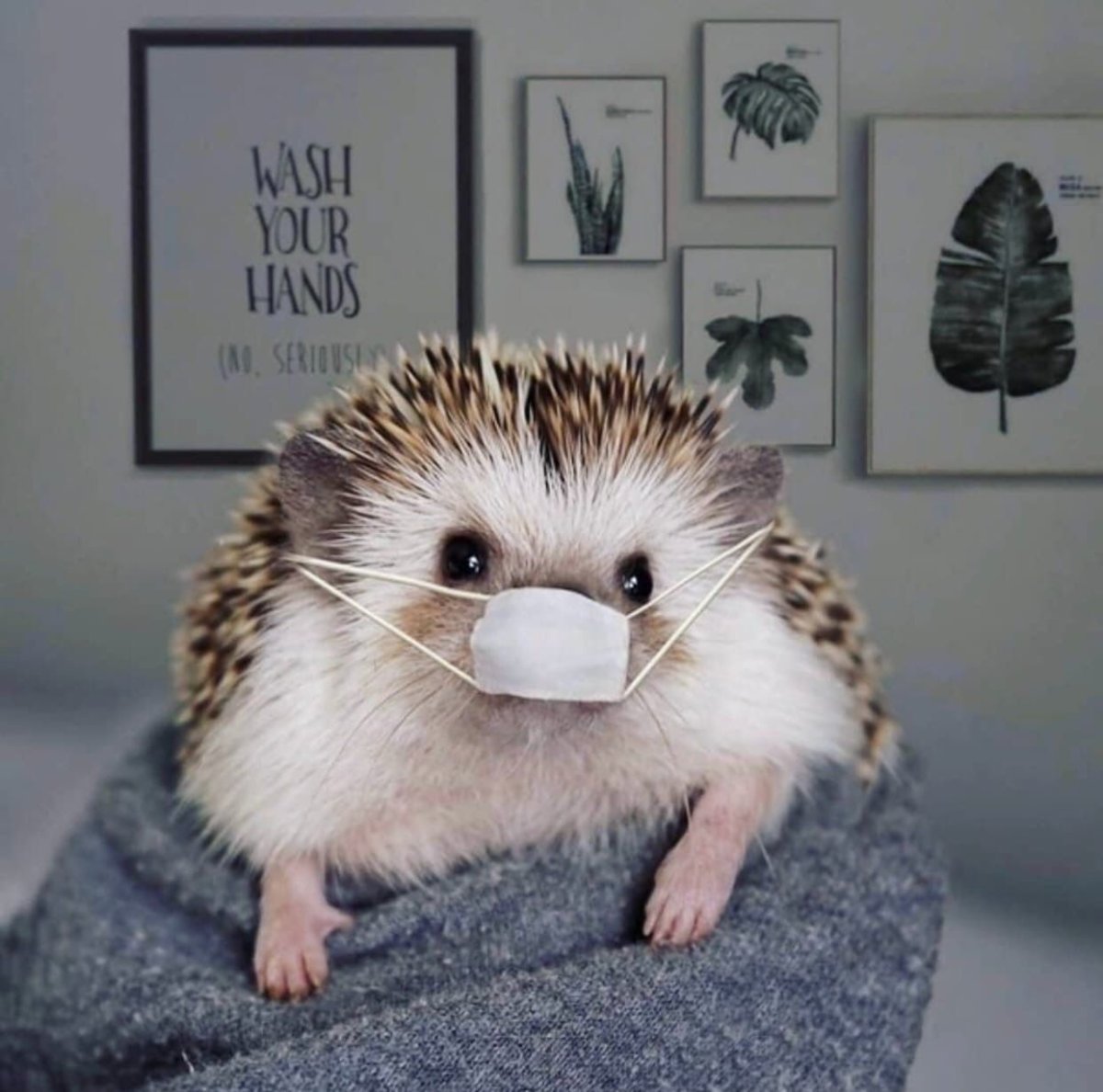 Доброе утречко берегите себя