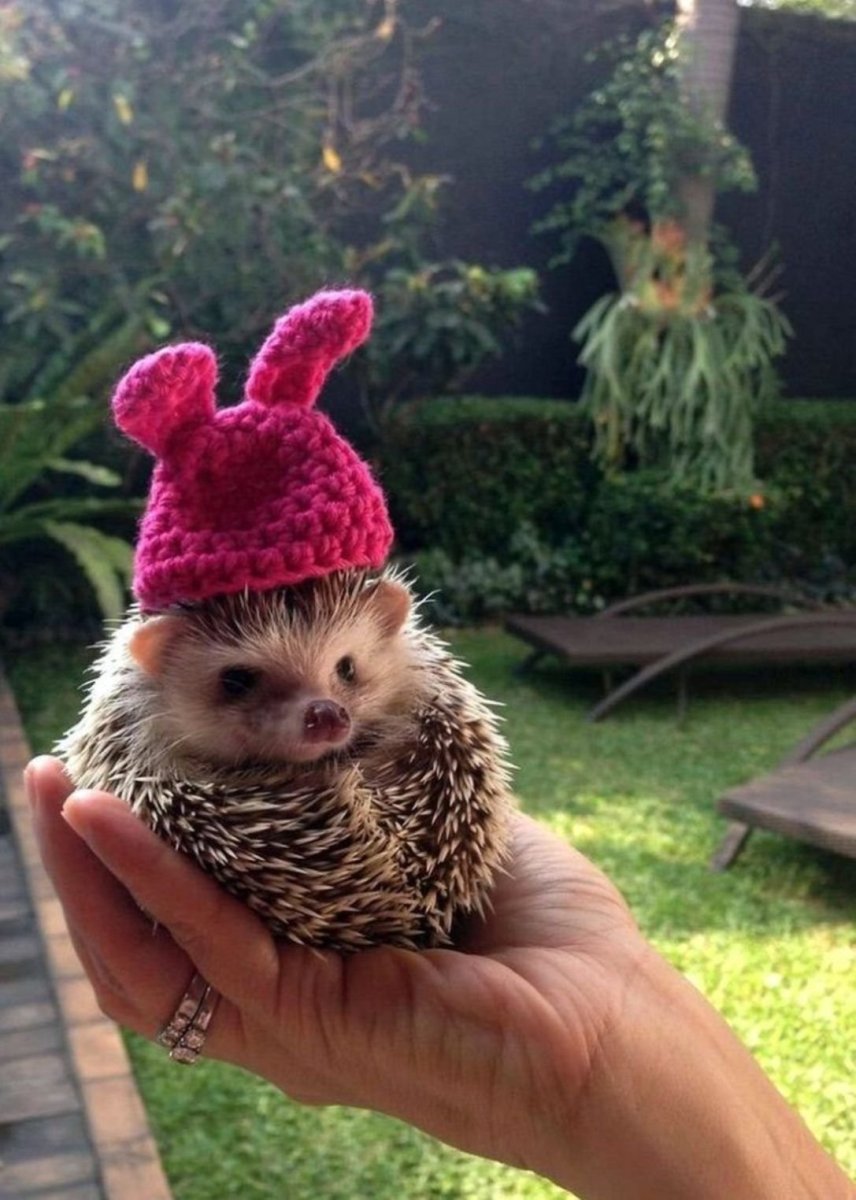 Румия Кандилова