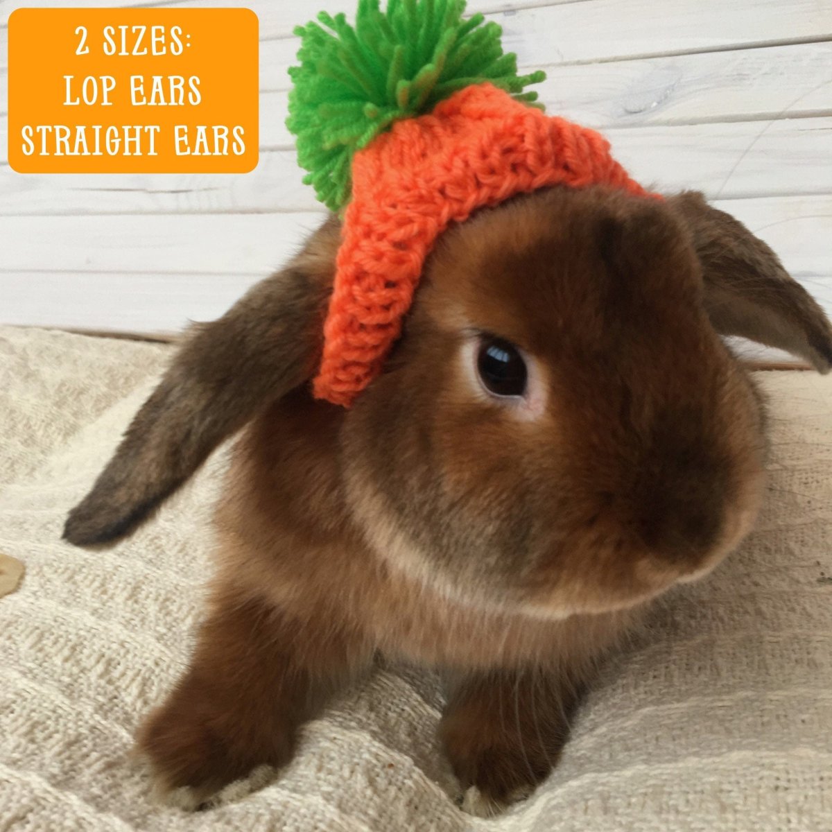 Кролик в шапочке