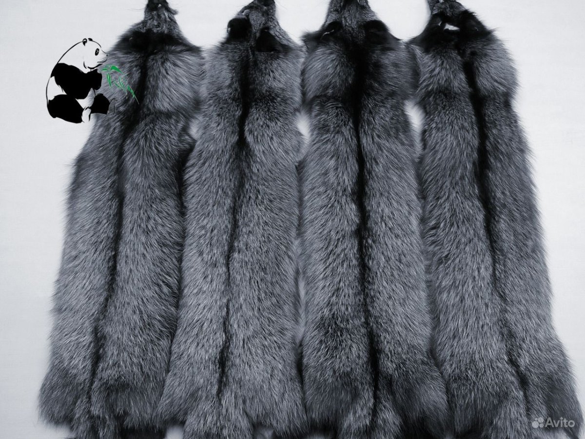 Samba 64 т.чернобурка