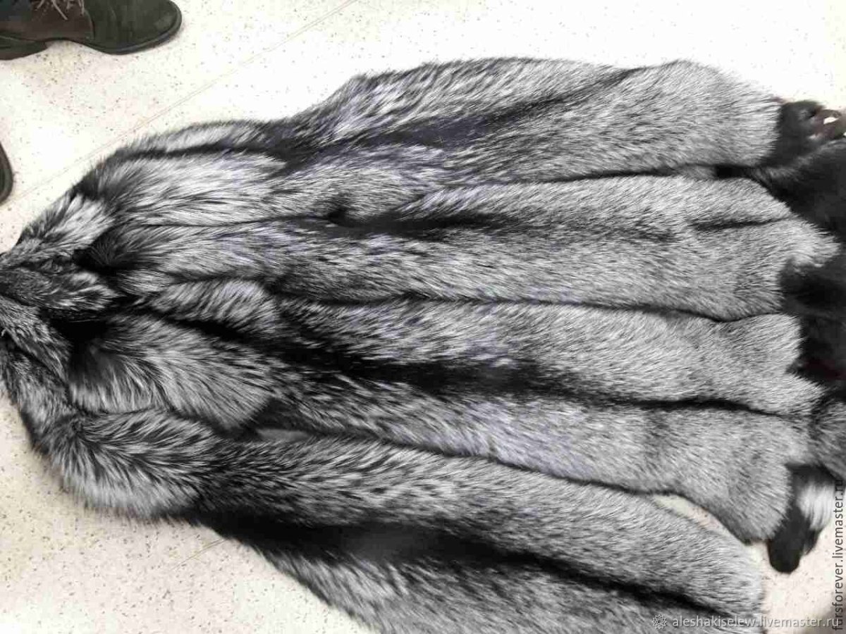 Лиса чернобурая шкурки