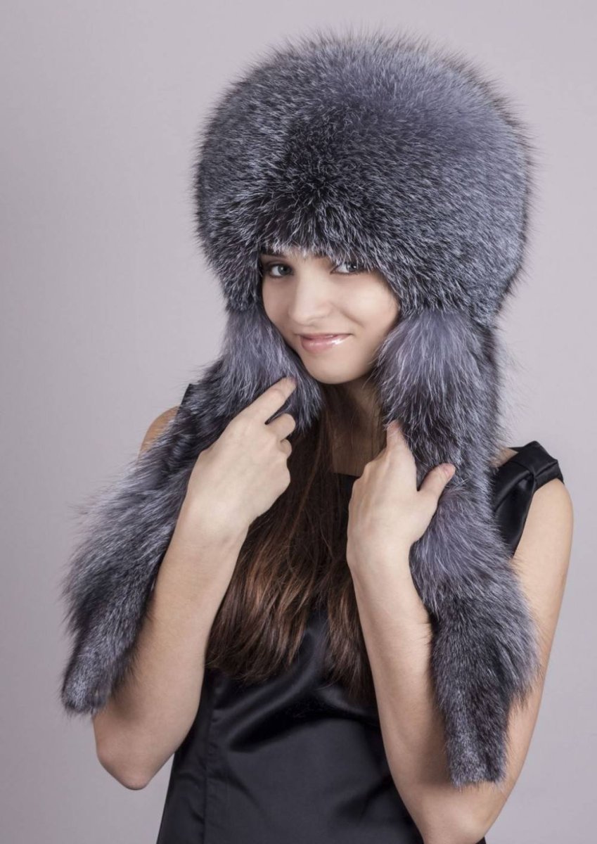 Песец блюфрост