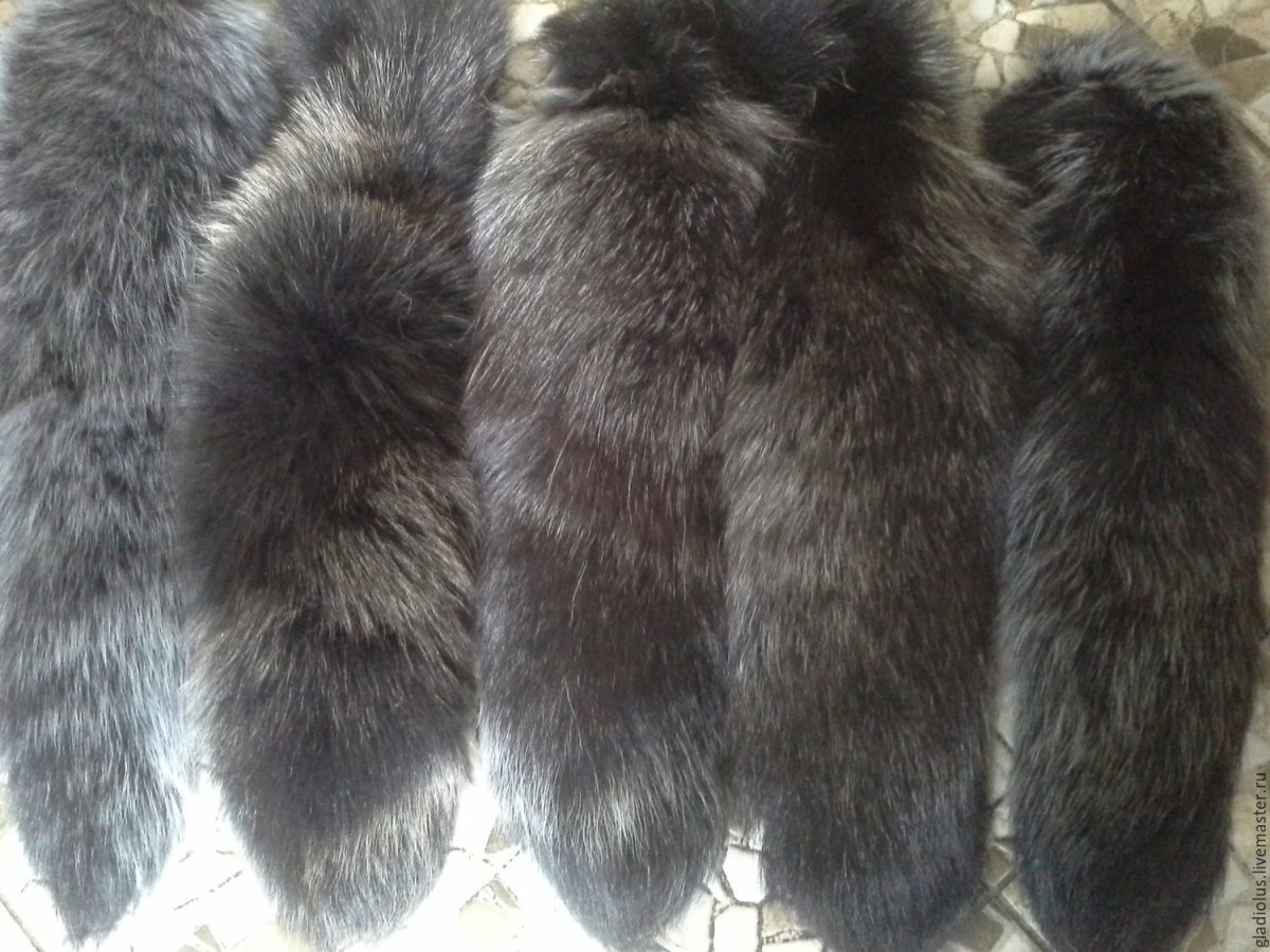 Блюфрост золотисто черный