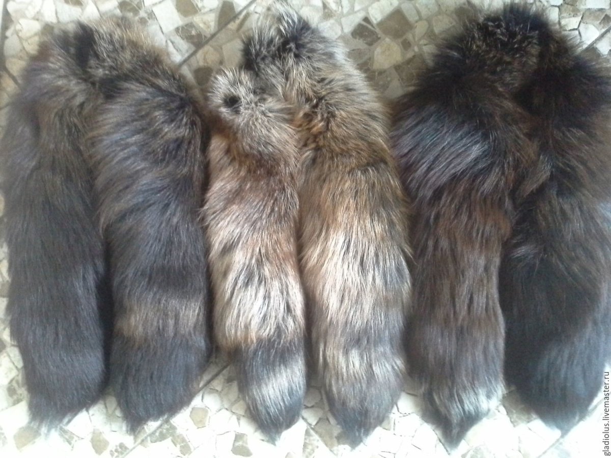 Ушанка Ника Титан