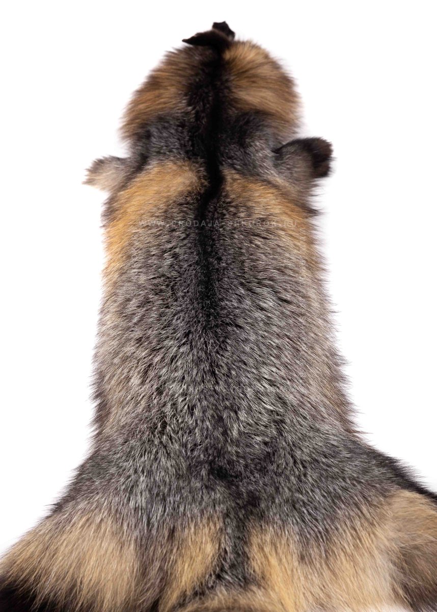 Шкурка лисицы