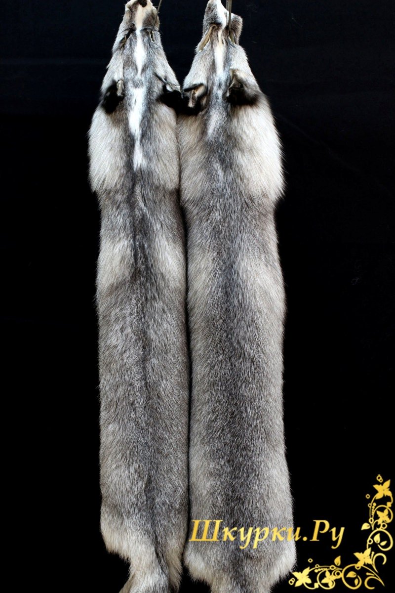 Норковая звероферма в Дании