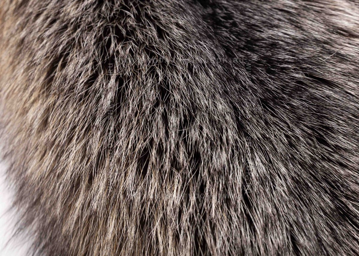 Saga furs мех чернобурой лисы