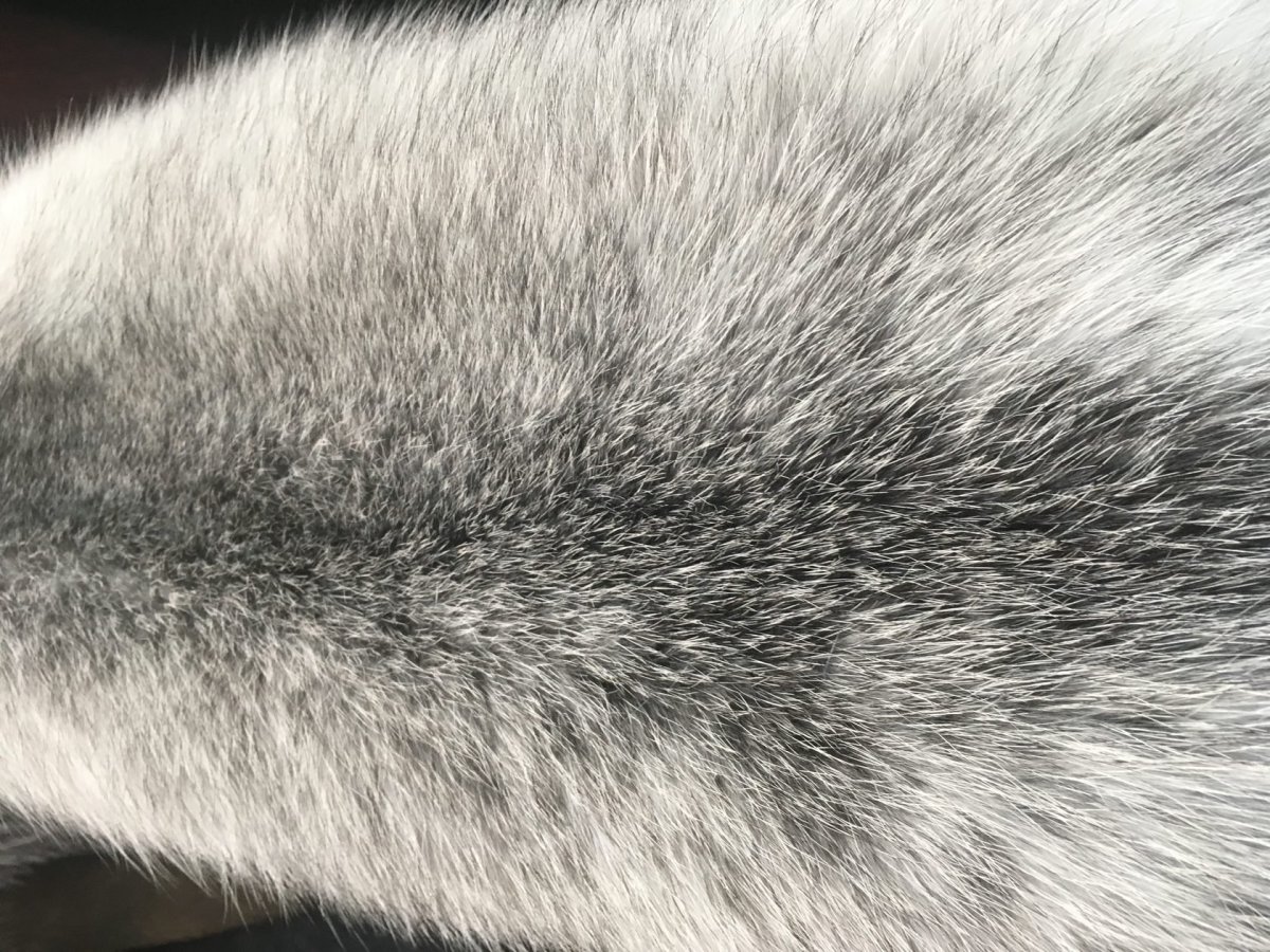 Лиса Кристалл мех блюфрост