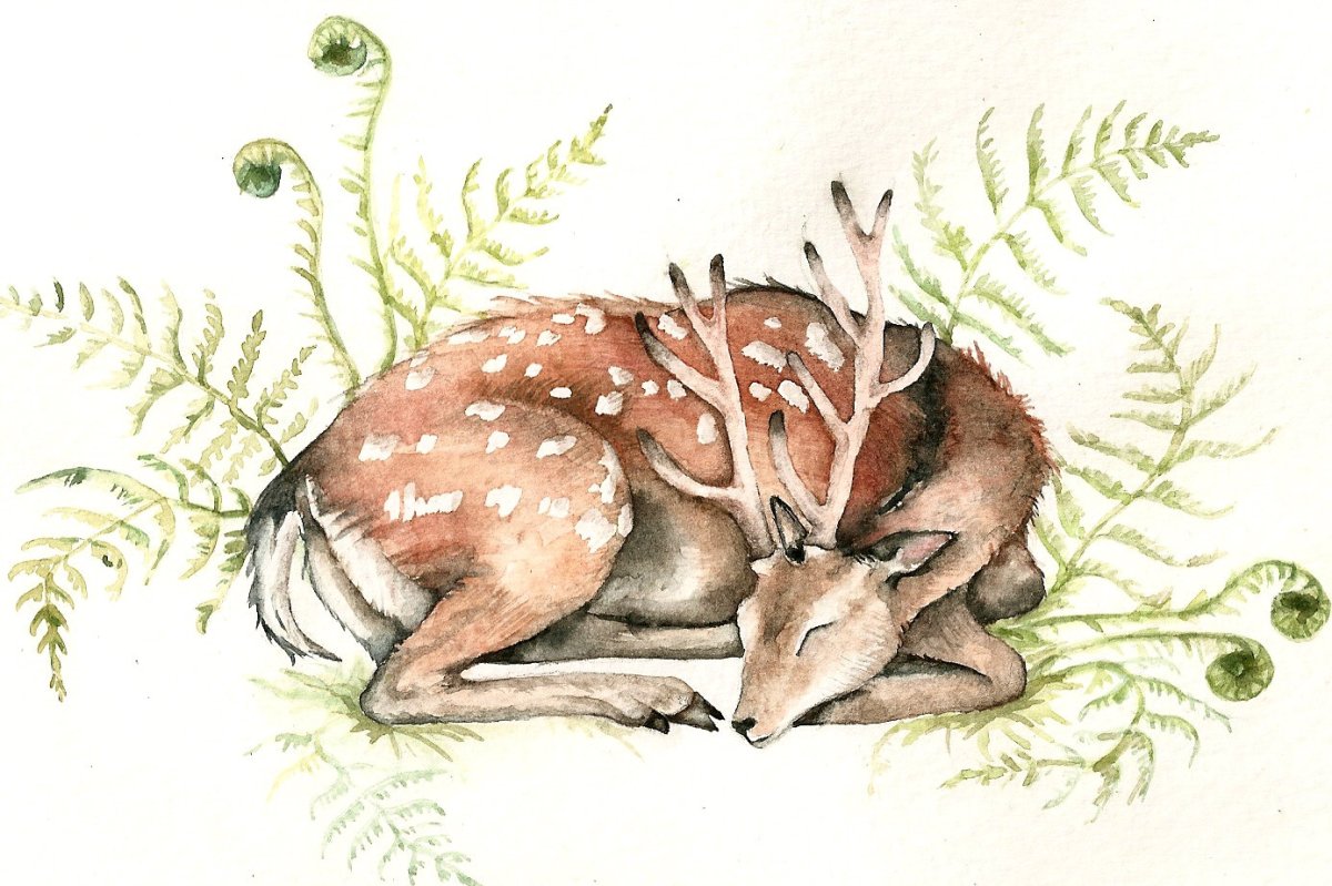 Спящий олень для детей