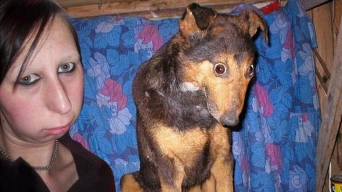 Девушка с собакой со спины