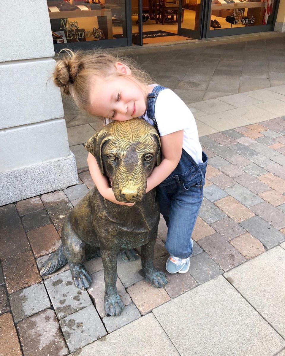 Упоротая собака