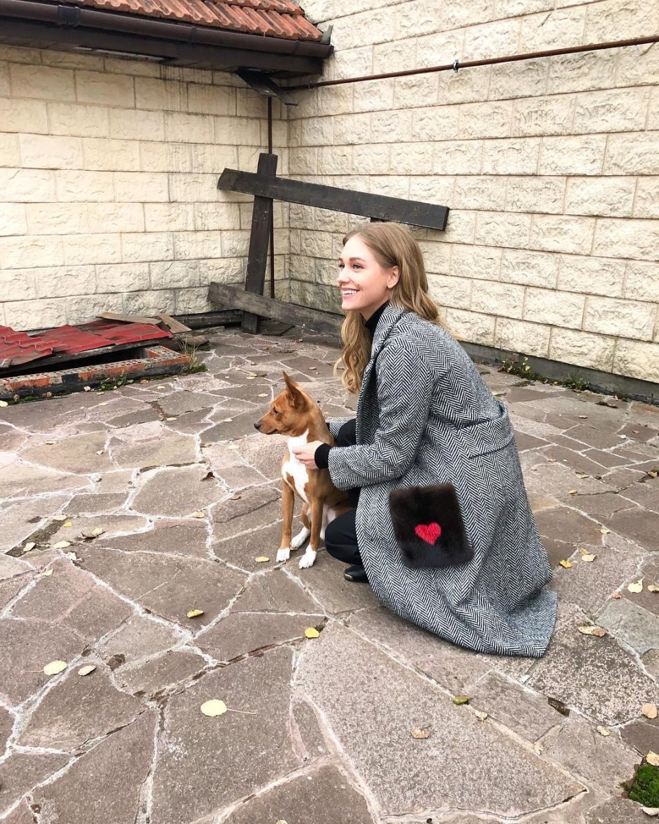 Доги в шапке