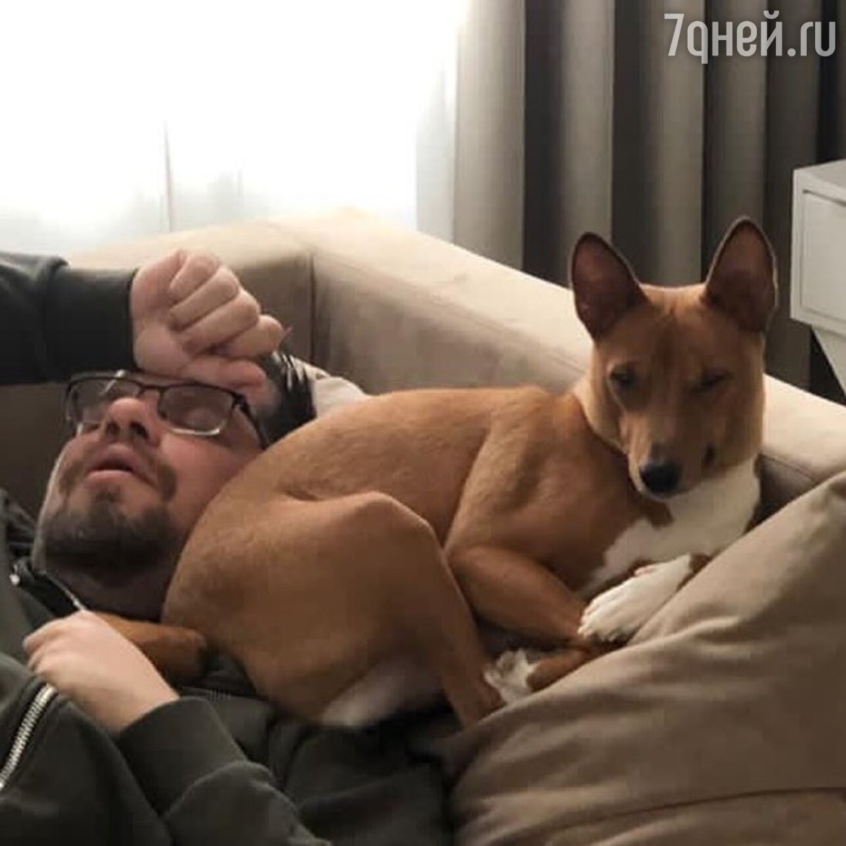 Харламов и басенджи