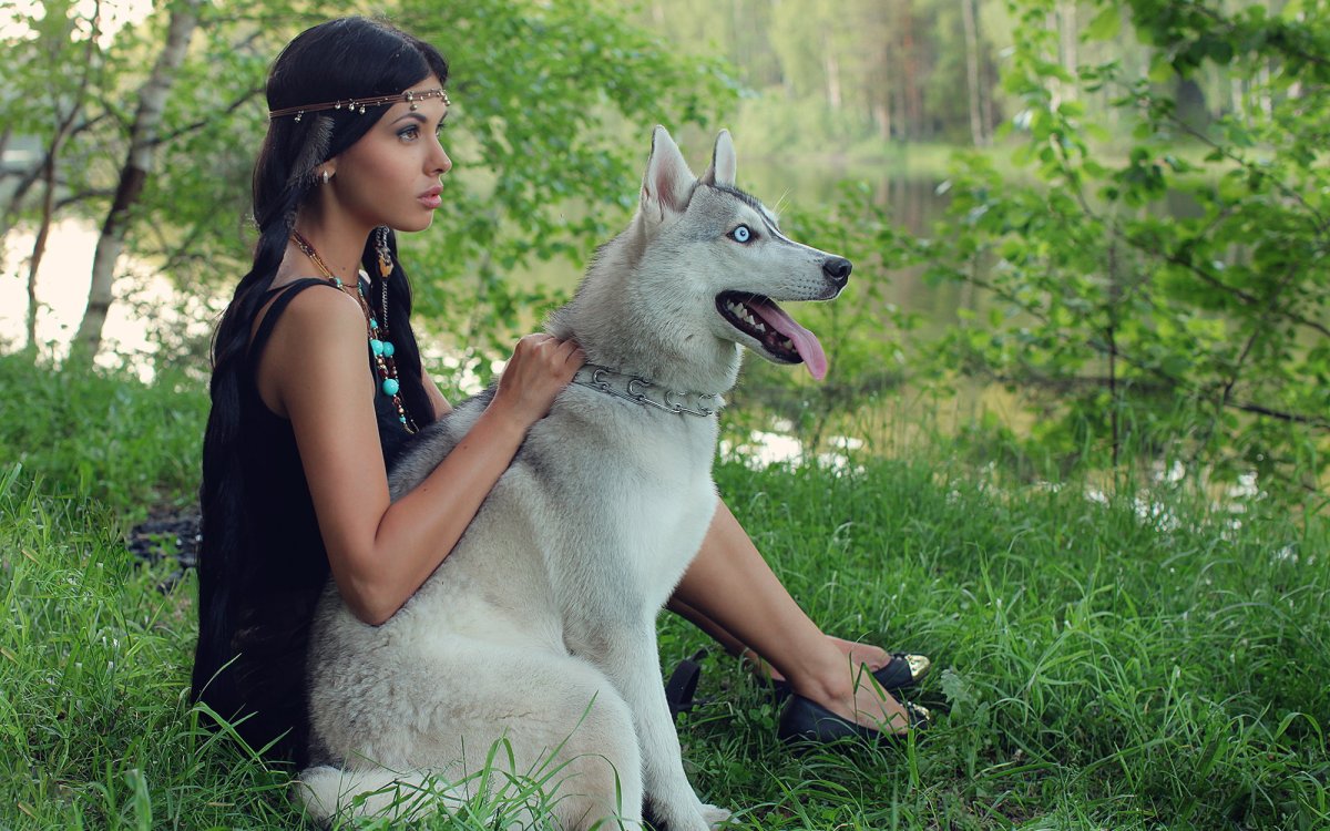 Пёс Квазимодо овчарка