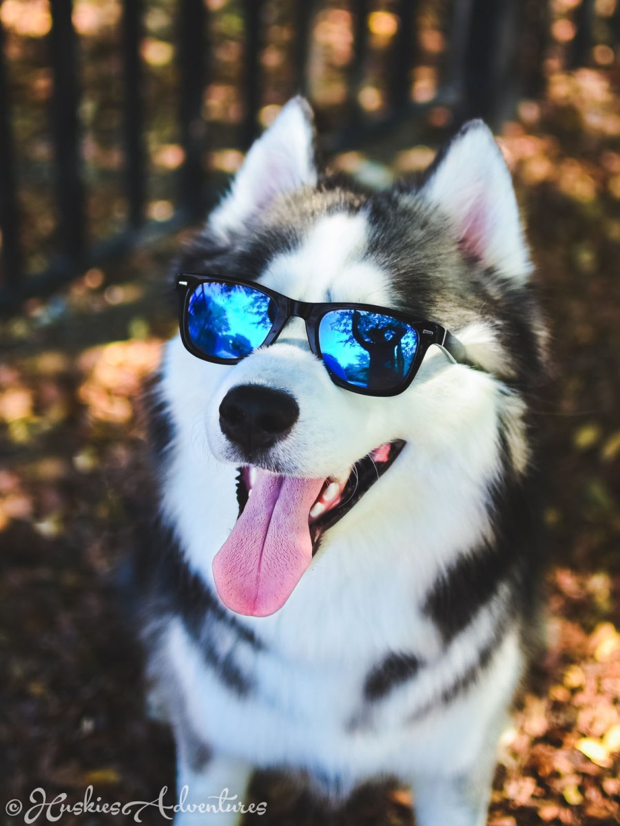 Позитивный юмор