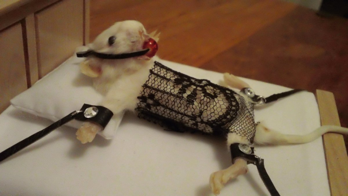 Няшный хомяк