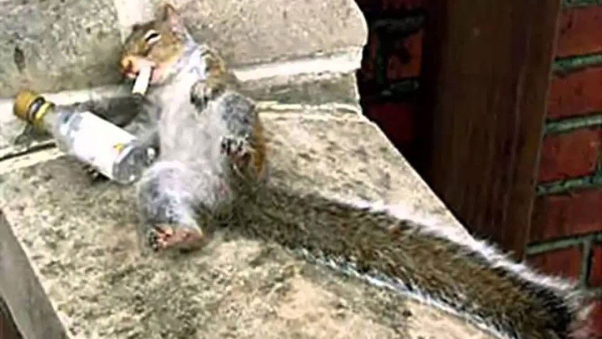 Будешь меня обижать наколдую маленький писюн