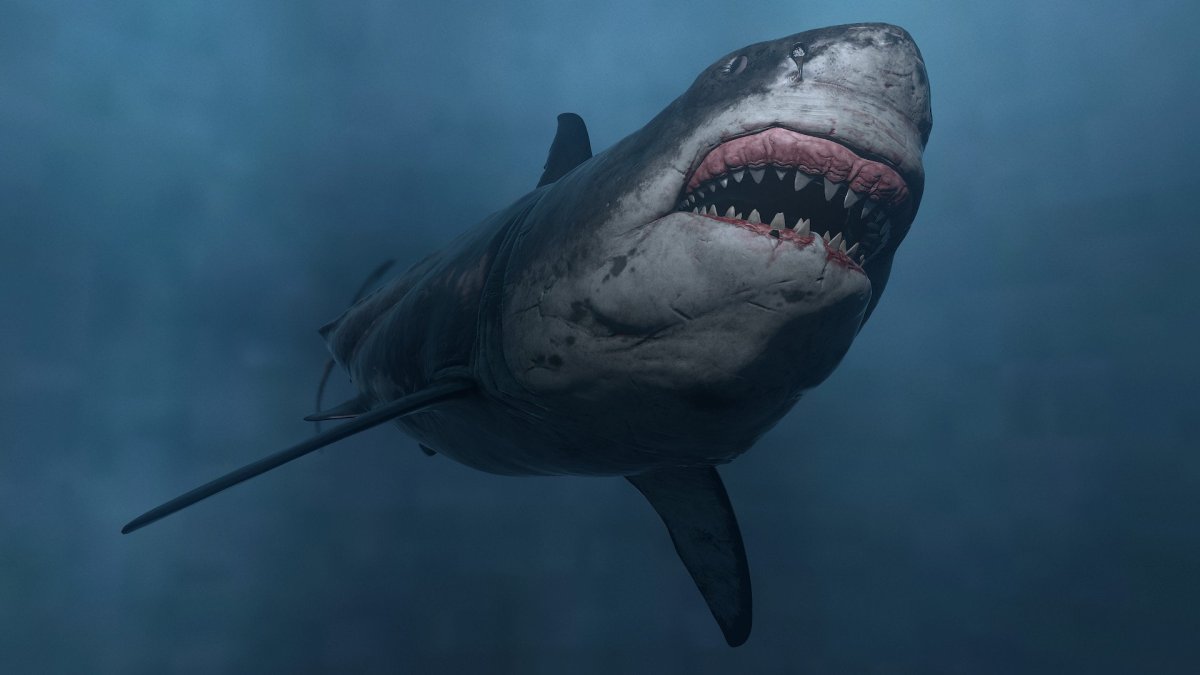 Вымершая акула МЕГАЛОДОН