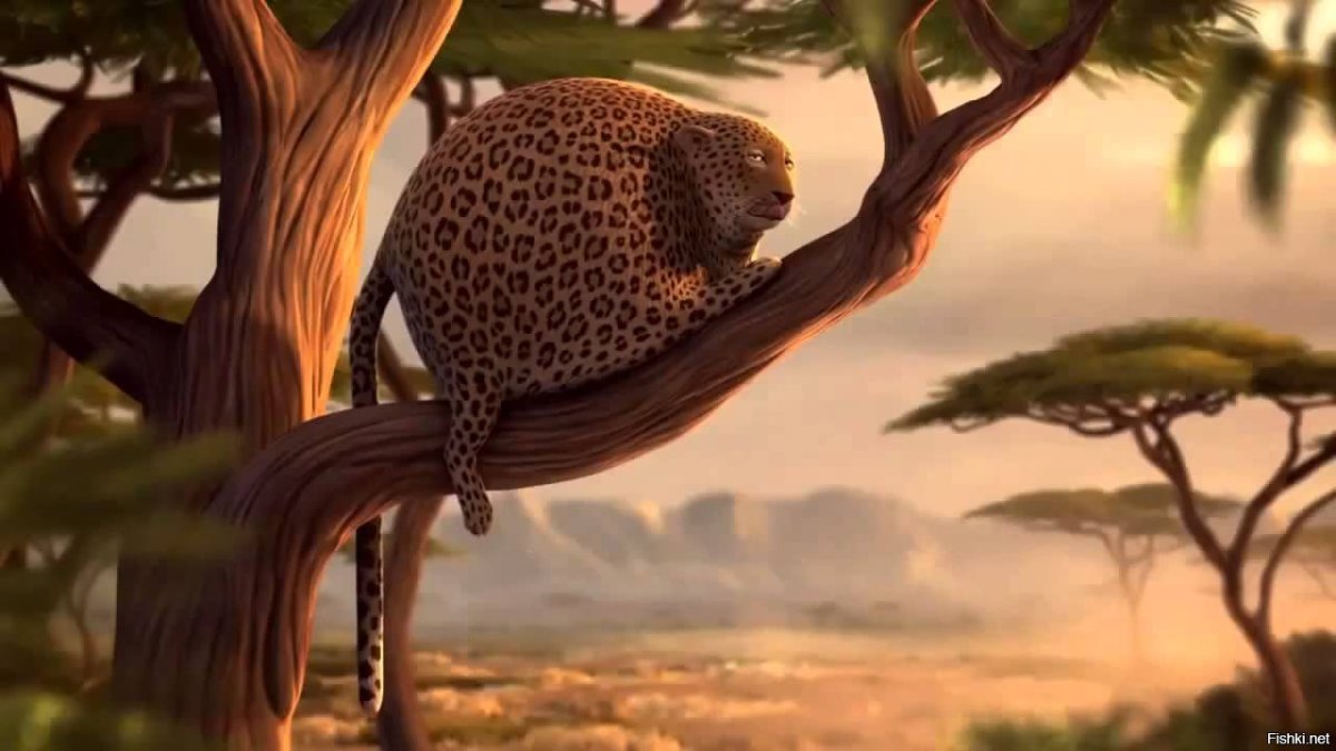 Толстые животные мультфильм