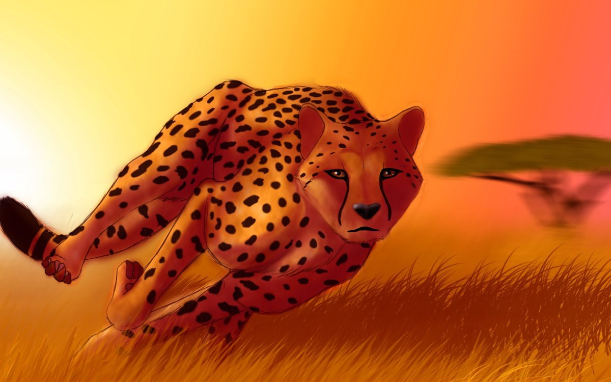 Вилд крафт гепард арт