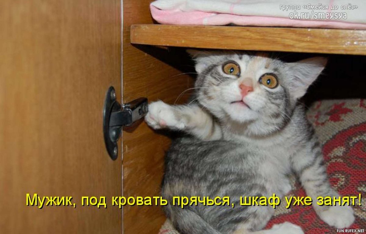 Кот в сапогах Шрек глаза